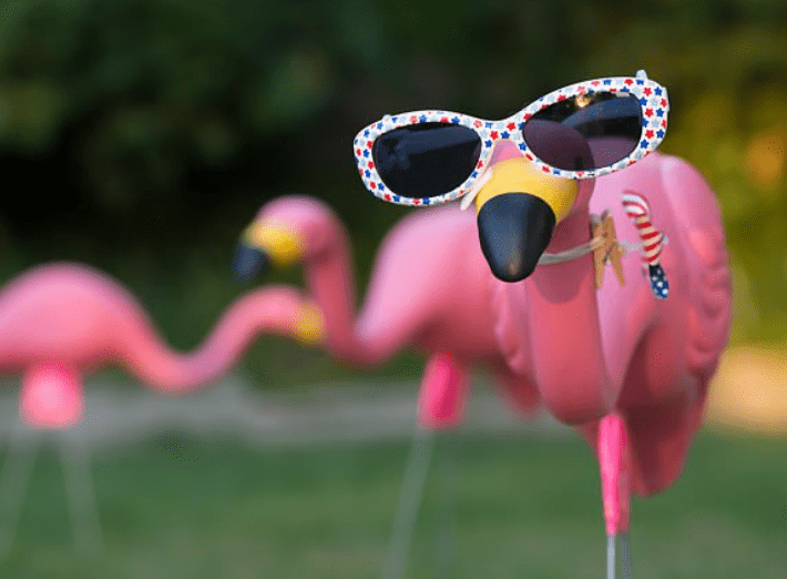 Flamingo, symbol för Swingers. Känna igen andra swingers.