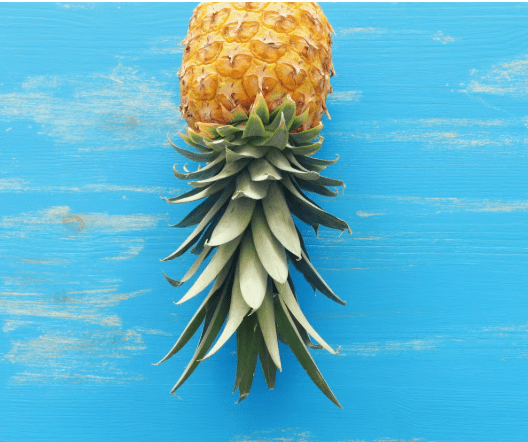 Ananas- Symbol för Swingers. Känna igen andra swingers.